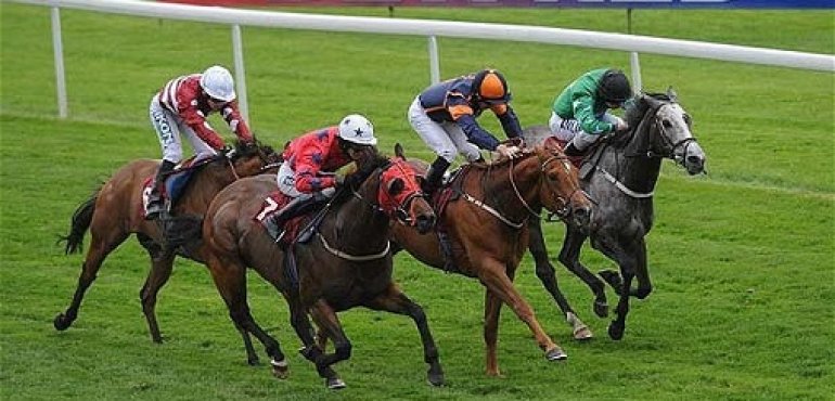 Horse race
